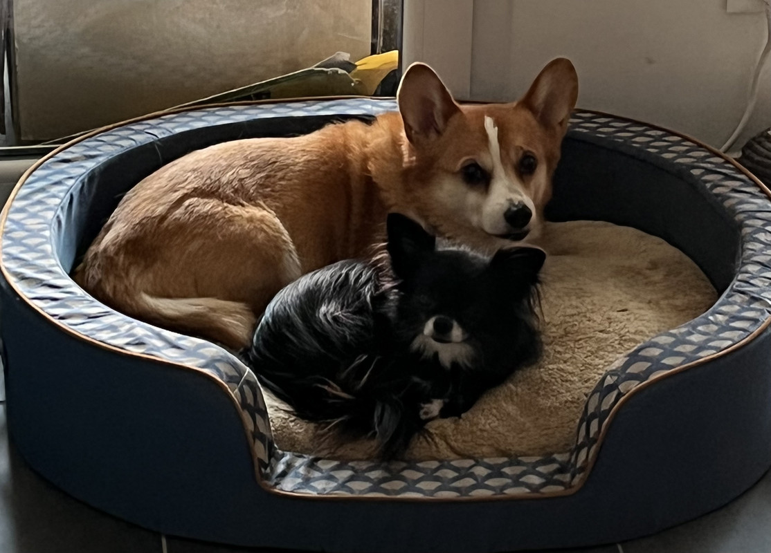 [Image: 02658131-FB0-B-4-D6-A-9-B8-A-6-DA16-DE5-A157.jpg]