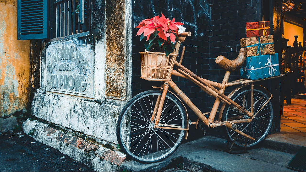 brown-bike-ransportation-2616318-1280.jpg