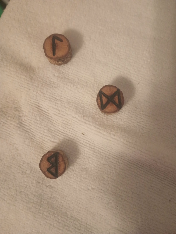 IMG_20241203_121606447