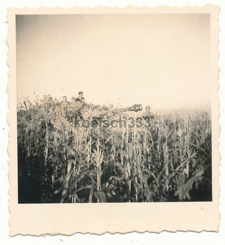Foto Sturmgeschütz Panzer  Langrohr  in einem Fe