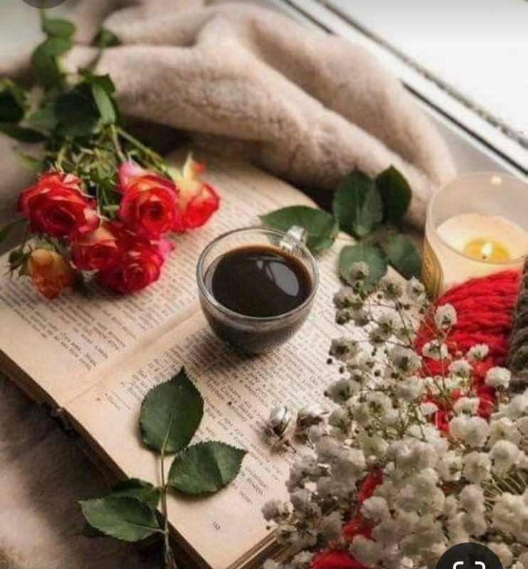 Screenshot_20230905_013306_Pinterest