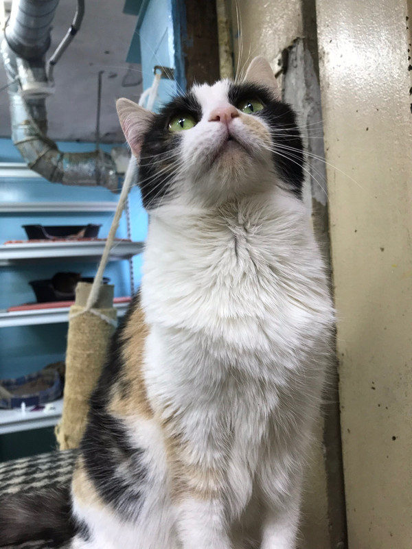 3C31246B-AAA6-4530-9785-D713592885CF