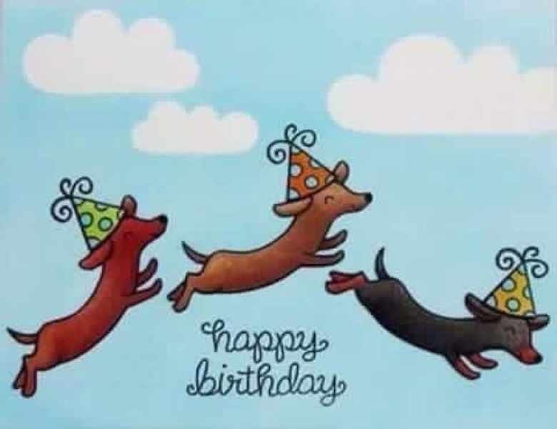 [Image: Anniversaire-teckel-55.jpg]