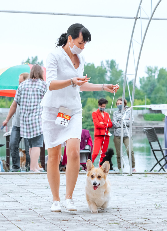 без имени-7110108