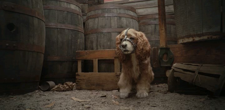 Lilli.E.Il.Vagabondo.2019.iTALiAN.WEBRiP.AC3.XviD.avi_snapshot_00.36.01.786