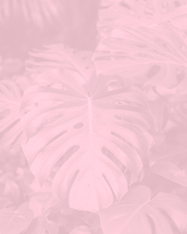 SirensGarden7