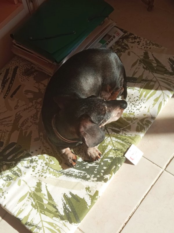 [Image: IMG-20240423-WA0001.jpg]