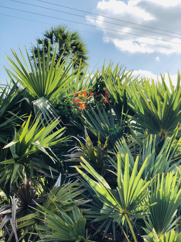 5-DF07923-D29-B-4790-8-D2-B-27-E5-FDCD64