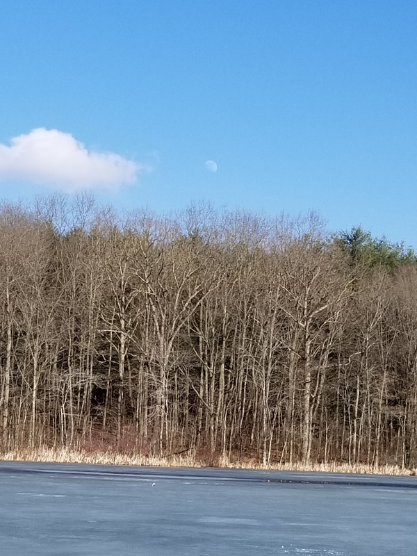20190215_144649