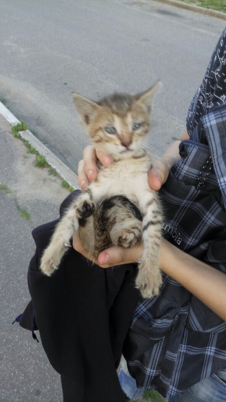 8F63B996-CFEE-4A90-911D-BAA10E76BCED