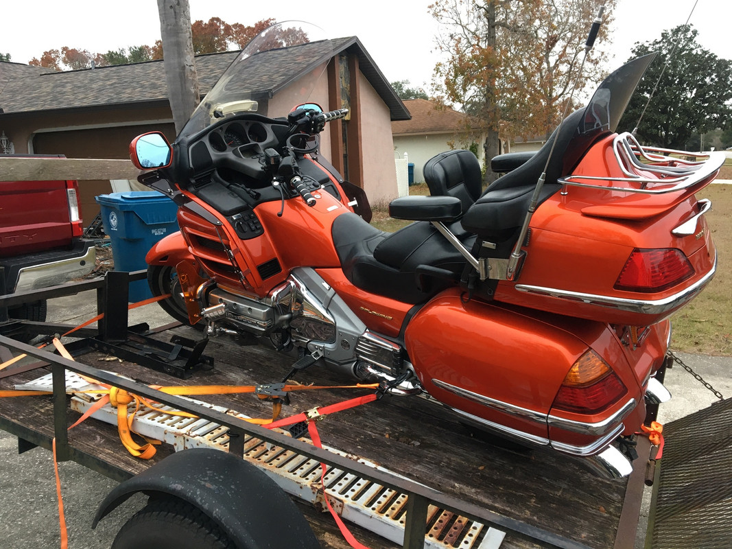 C19CD6C5-21D8-4582-B38B-9E1174BC66AF