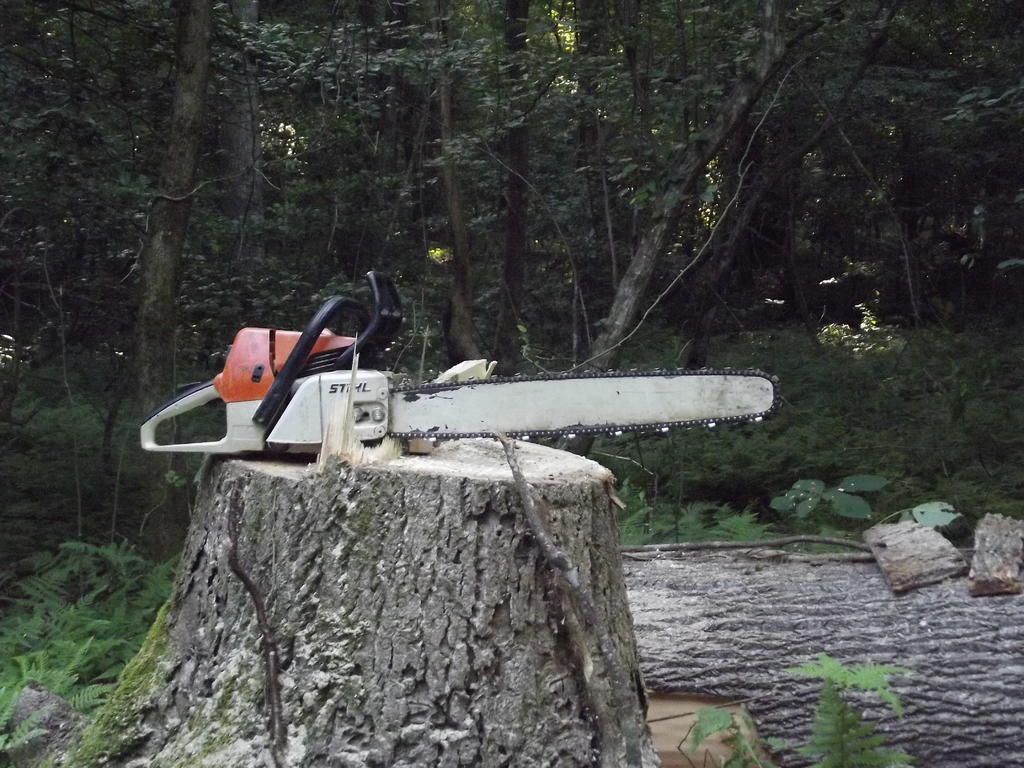 2019-07-11-2051-JPG-07d658161f95e9f3d024