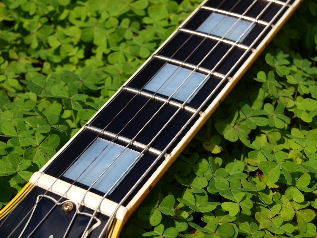 8D7A00AE-892B-4175-861E-31DA81523194