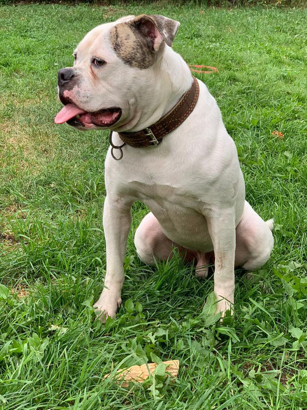 325F0C87-3F33-4957-8741-569F5D9AC9EA