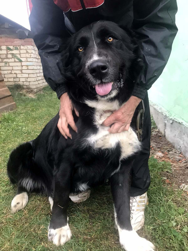 изображение_viber_2019-11-16_22-25-5