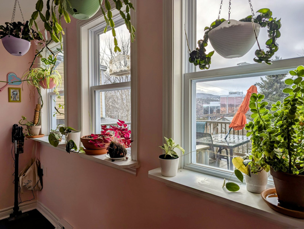 PXL_20250112_143308813.MP~2