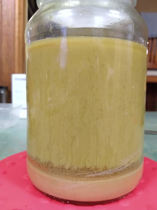 369016030-IMG_20200617_174556156