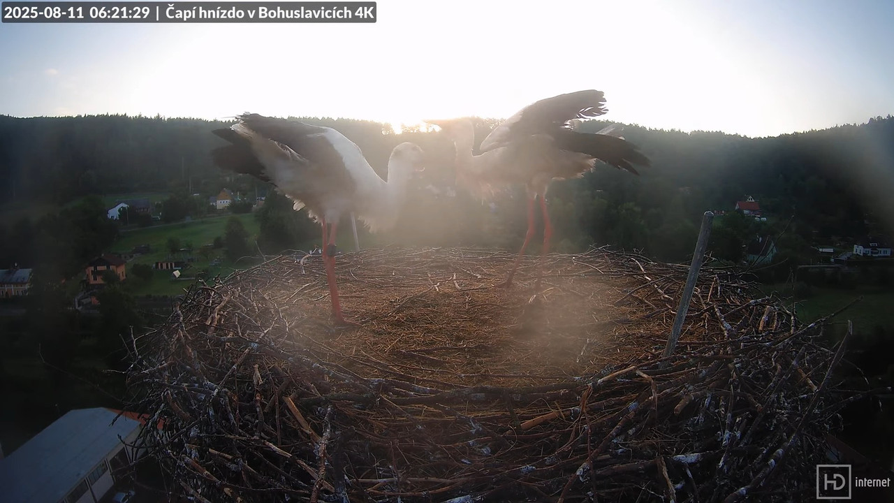 Tiešraide no KARA uzņēmuma stārķu skursteņa Bohuslavicē netālu no Trutnovas 10-33-2 screenshot