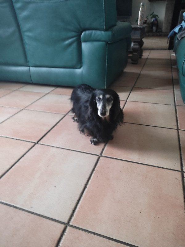 [Image: IMG-20240104-092941.jpg]