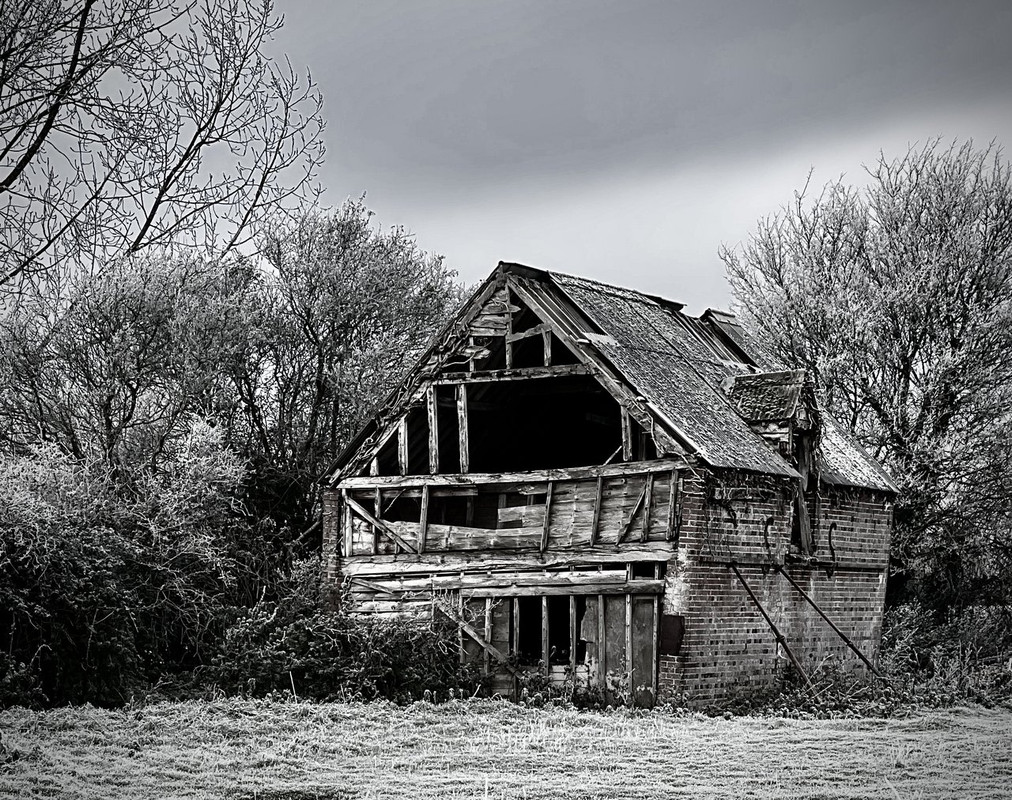 728544FA-D7A3-4687-8990-DA71839D3538