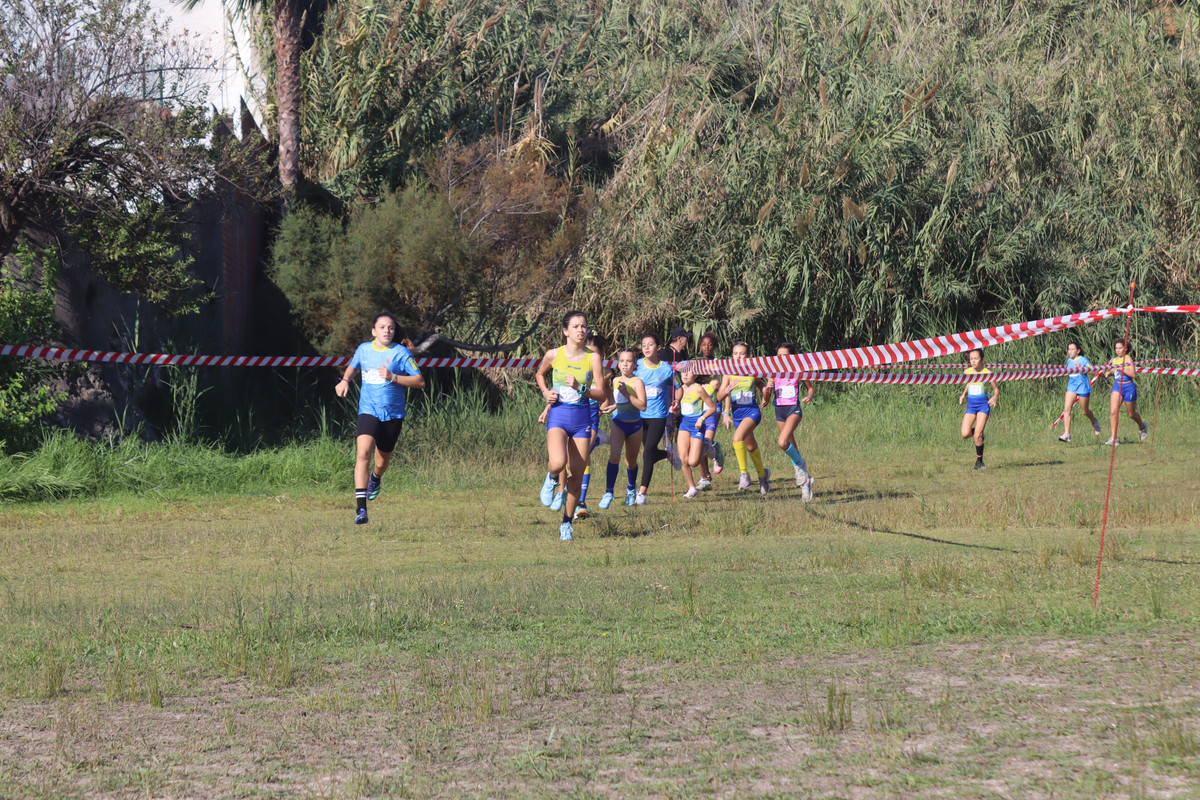 IMG-4100