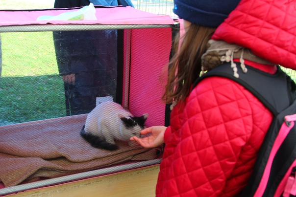 94D59380-CB0B-4A66-B93F-65F5A39AFB60