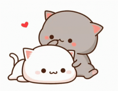 Cute Cat gif