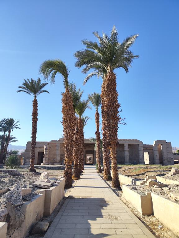 Ленивый Египет (Хургада, Луксор, Каир), декабрь 2025 - январь 2026