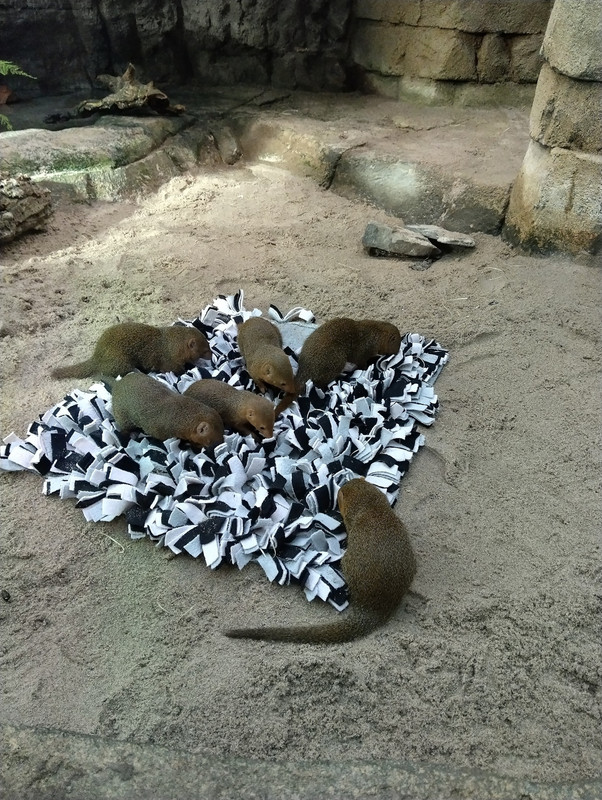 557692751_10231724420746730_6546358947544572767_n