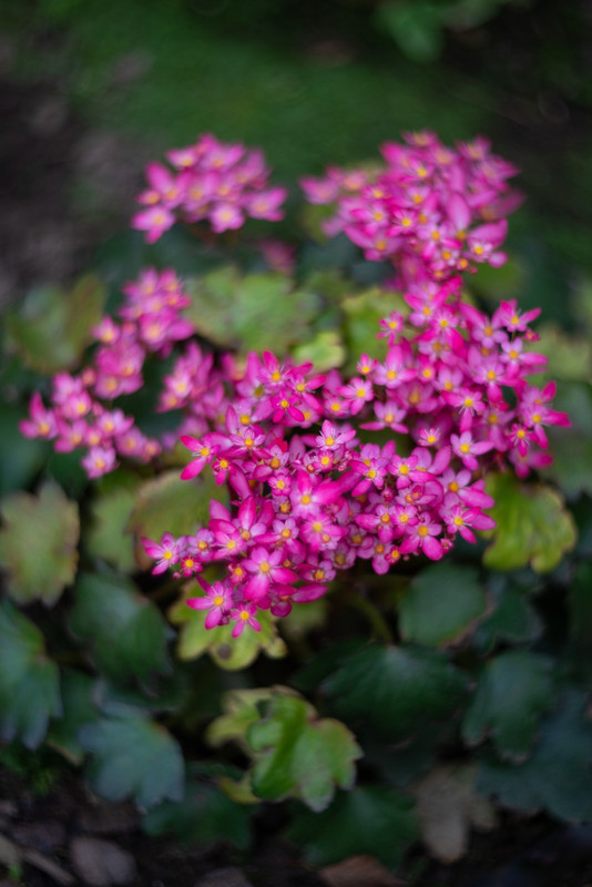 IMG-23e1405e6e26d70e86796407515cb689-V