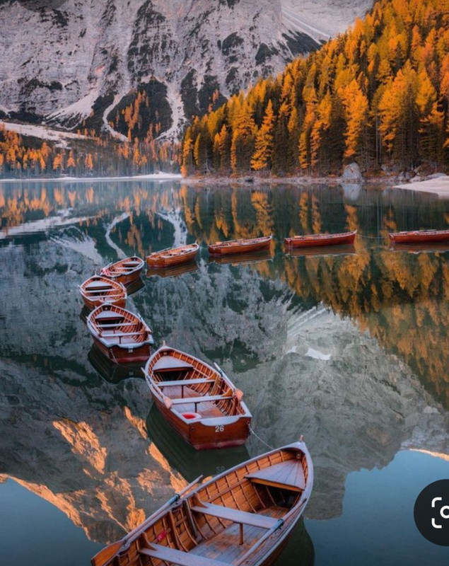 Screenshot_20231128_181021_Pinterest