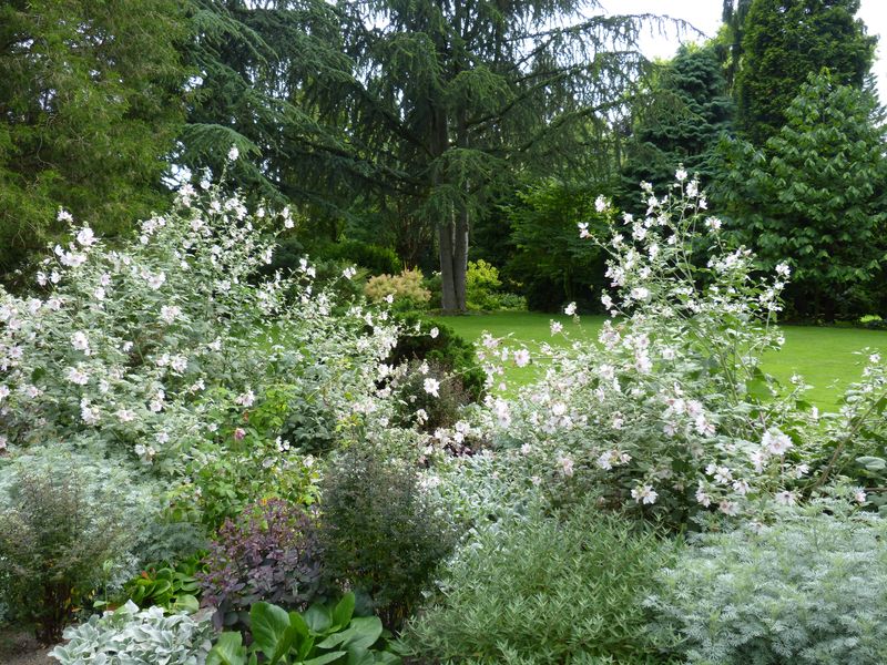 2014-07-13 Arboretum Härle 17