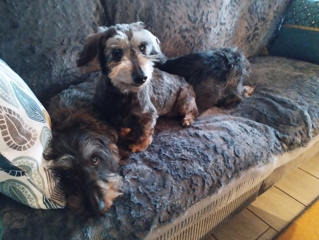 [Image: IMG-20250303-101453.jpg]