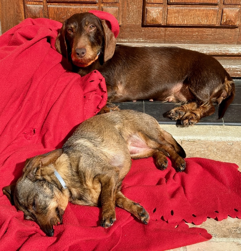 [Image: IMG-20240413-181749.jpg]