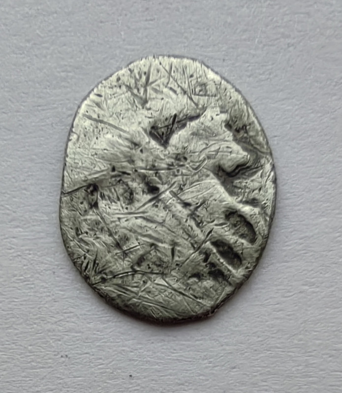 IMG 20251120 134958 edit 66031418536007