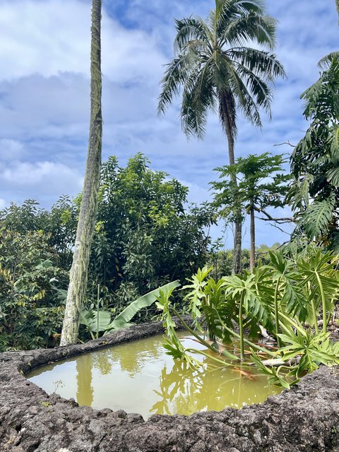 [Linked Image from i.postimg.cc]