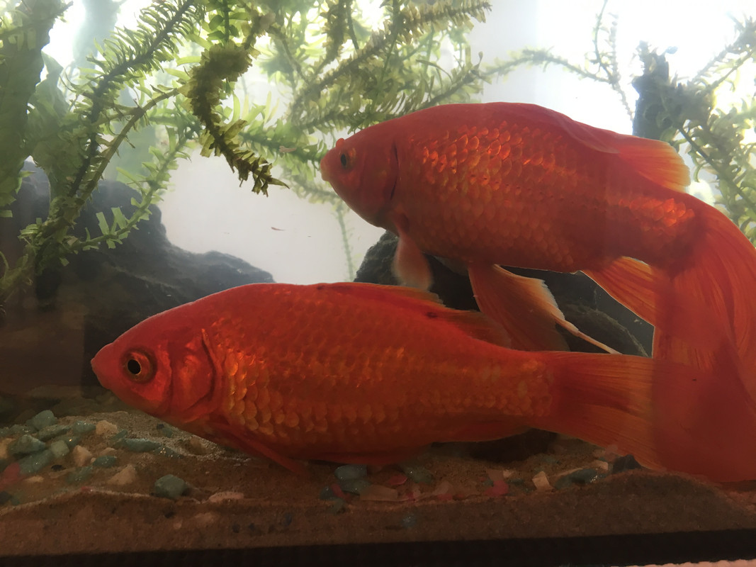 99EDD53E-F3C8-4162-B19C-310078EF09BB