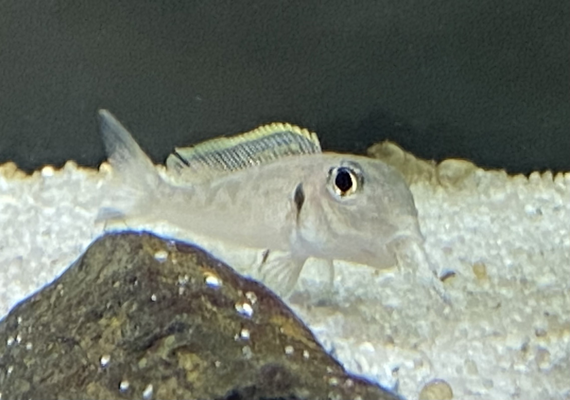 9D44A8FC-1A6A-4E30-B7DA-80BC98437E55