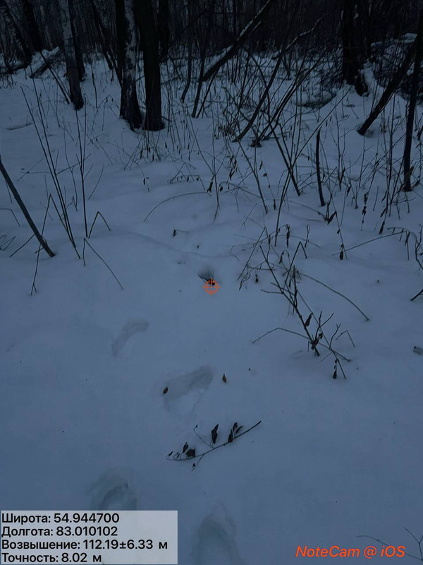 6179395215 AQAD Q5r G Nv2Uh