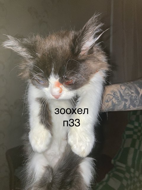 7E274FDE-AF37-49A9-9781-01BA309500B8