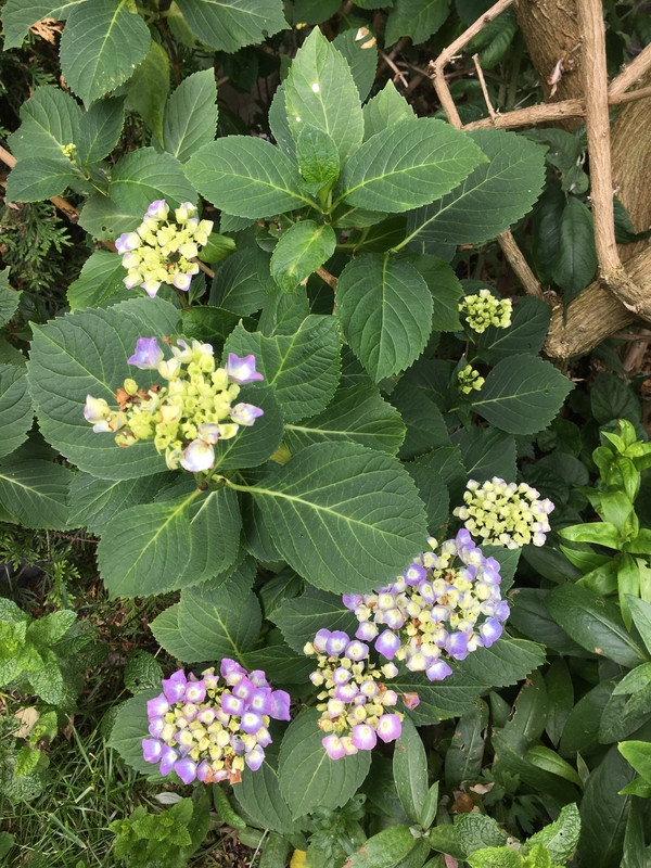 66C52C6B-A67C-4DA6-BBAB-1F4B98974E62