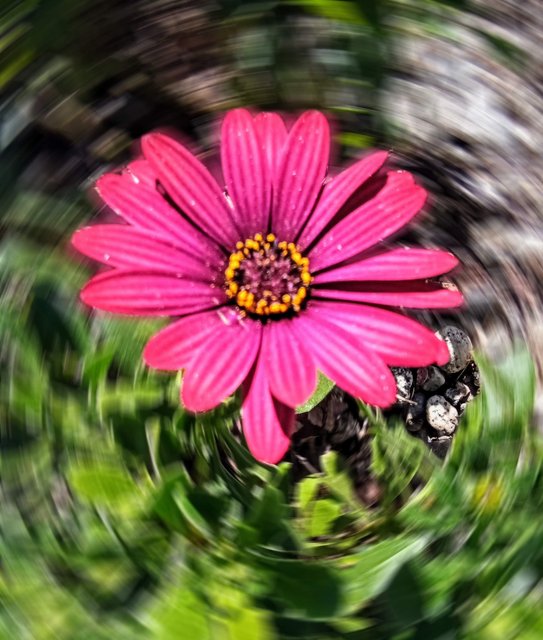 [Image: photostudio-1737666172278-1.jpg]
