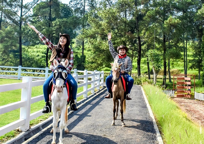 Keliling naik kuda di area Cimory Dairyland Puncak.