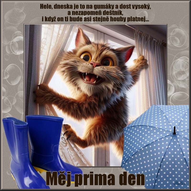 159-den-D.jpg