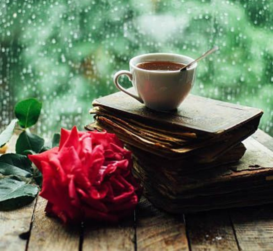 Screenshot_20240721_212231_Pinterest