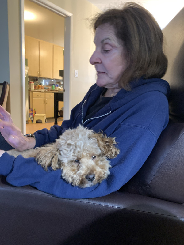 D2CF29F4-CE2F-4E40-9930-0C157DC1814B