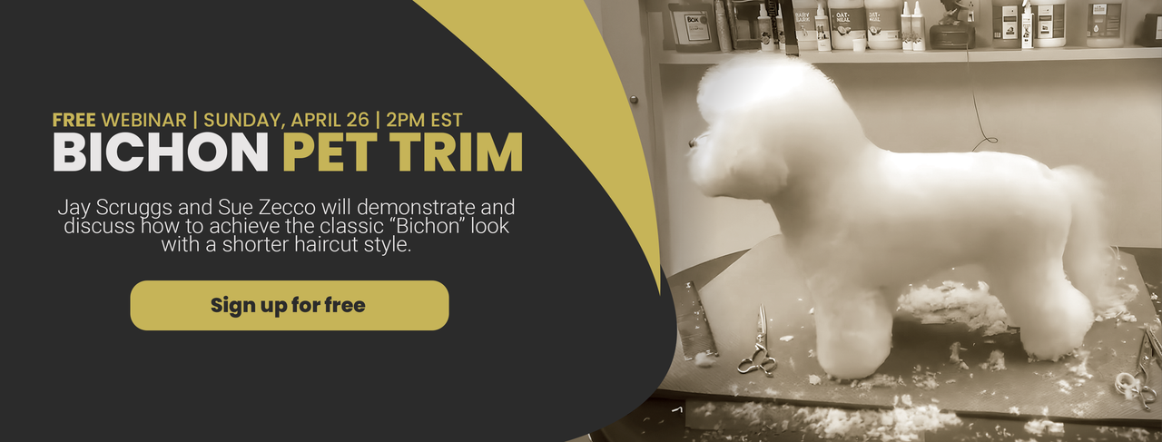 BICHON Webinar Desktop