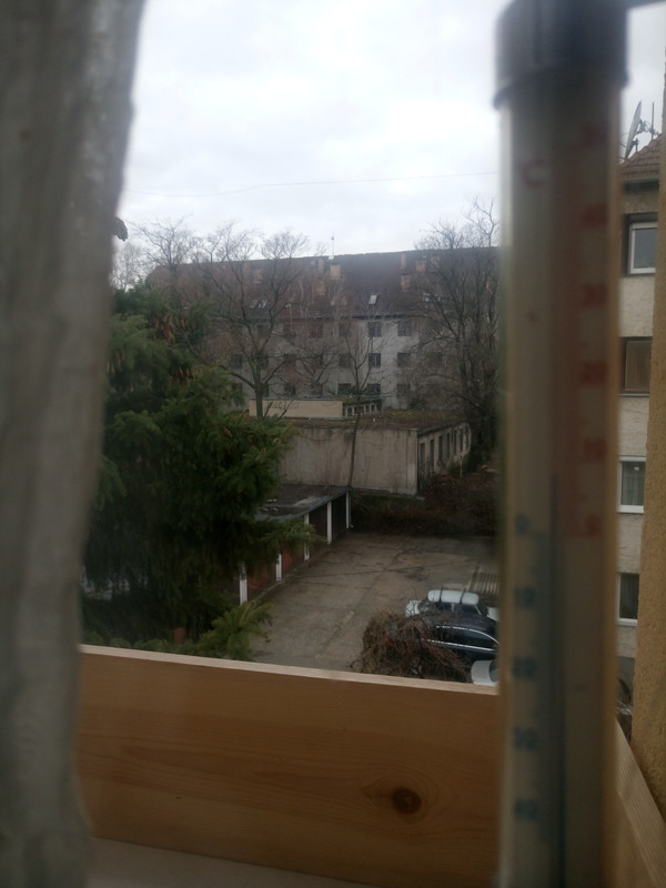 Kép
