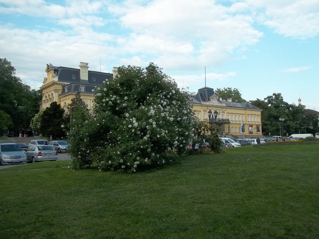 100-6937.jpg