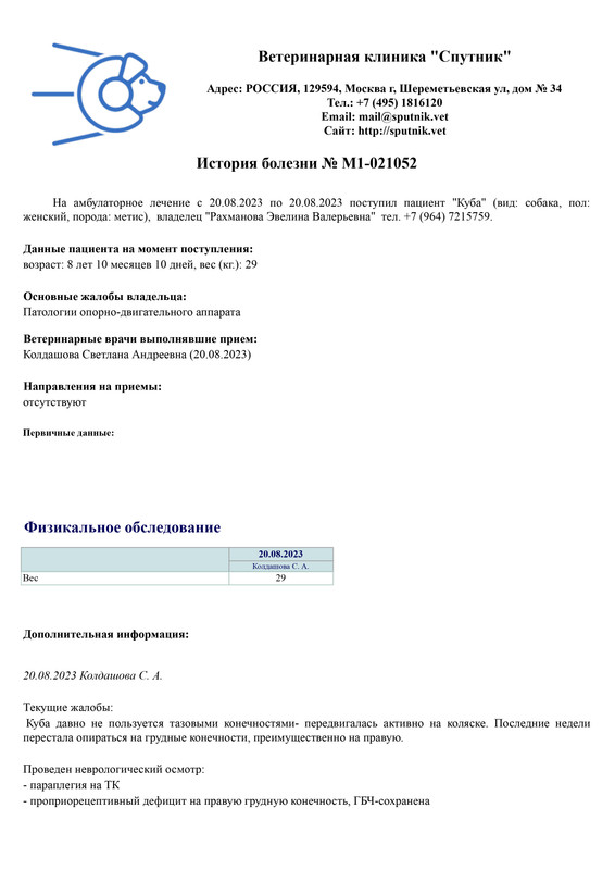 Отчет о посещении (M1-00007496)_page-0001